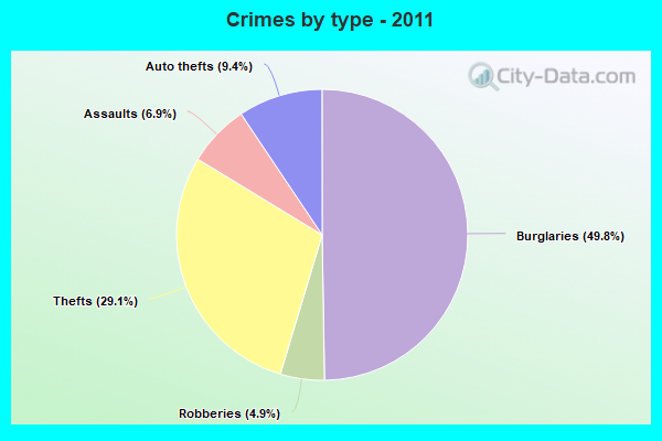 Crimes by type - 2011