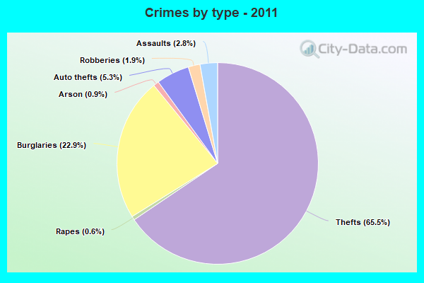 Crimes by type - 2011