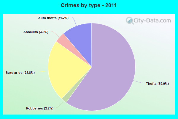 Crimes by type - 2011