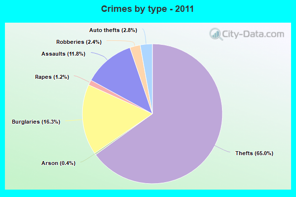 Crimes by type - 2011