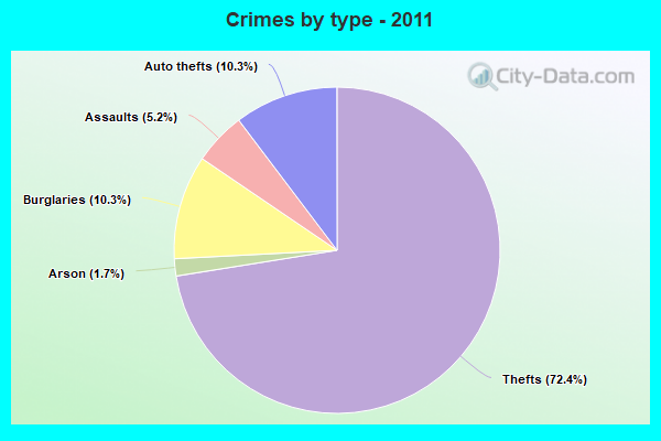 Crimes by type - 2011