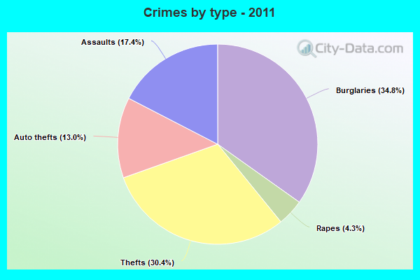 Crimes by type - 2011