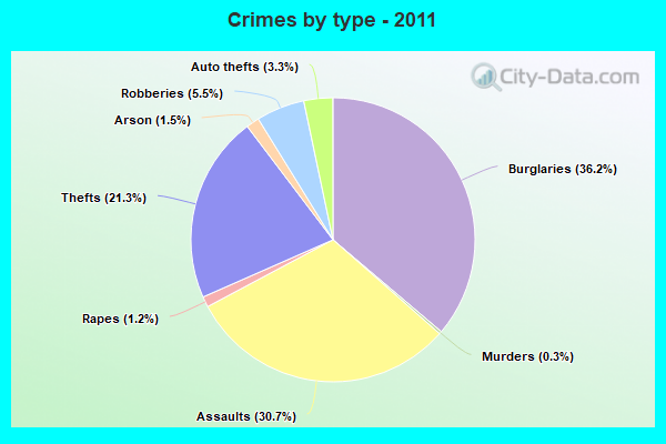 Crimes by type - 2011