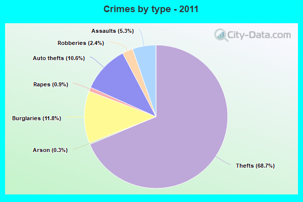 Crimes by type - 2011