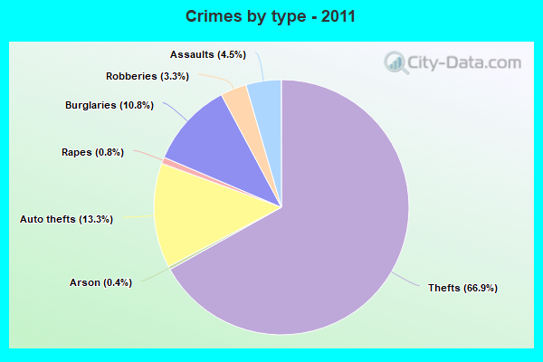 Crimes by type - 2011