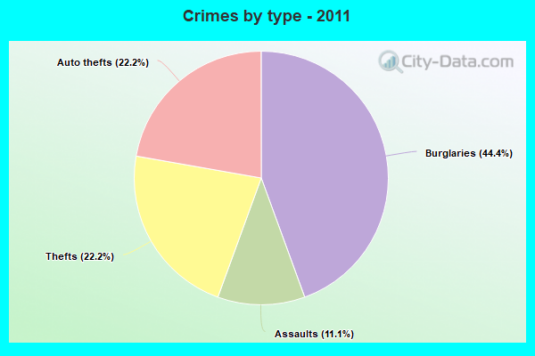 Crimes by type - 2011