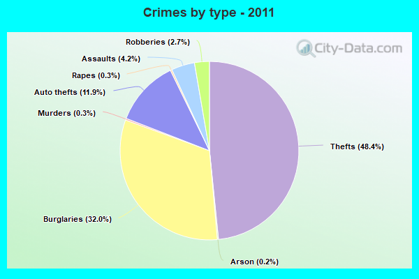 Crimes by type - 2011