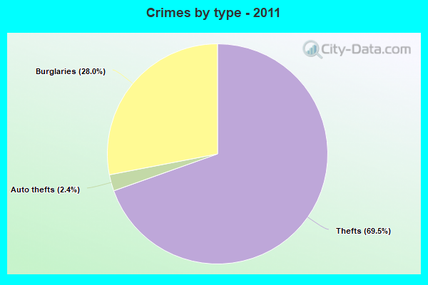 Crimes by type - 2011