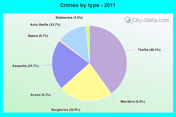 Crimes by type - 2011