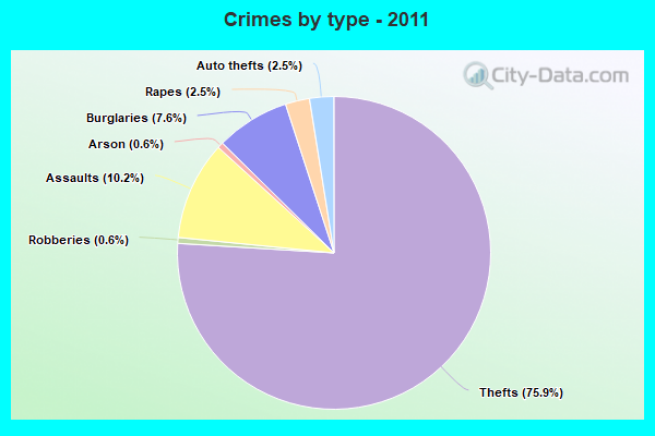 Crimes by type - 2011