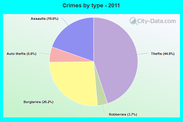 Crimes by type - 2011