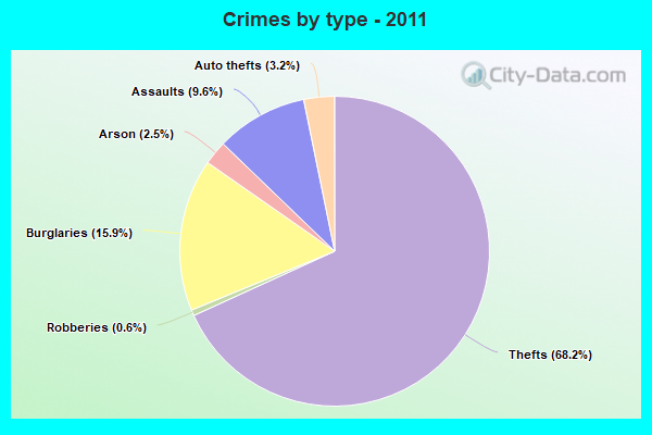 Crimes by type - 2011