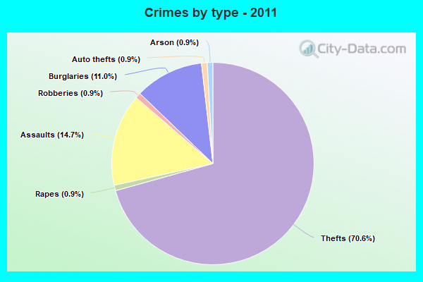 Crimes by type - 2011