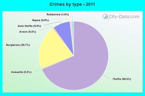 Crimes by type - 2011