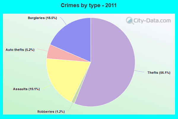 Crimes by type - 2011