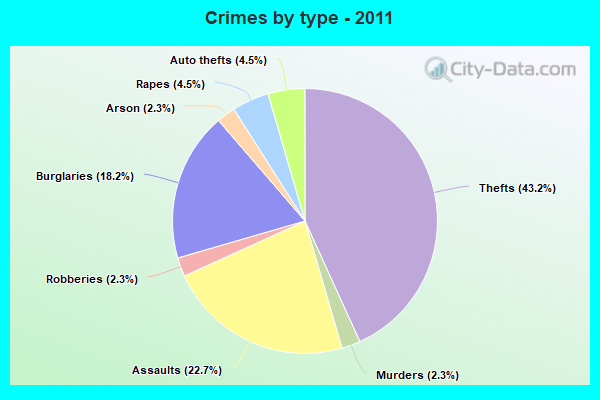 Crimes by type - 2011