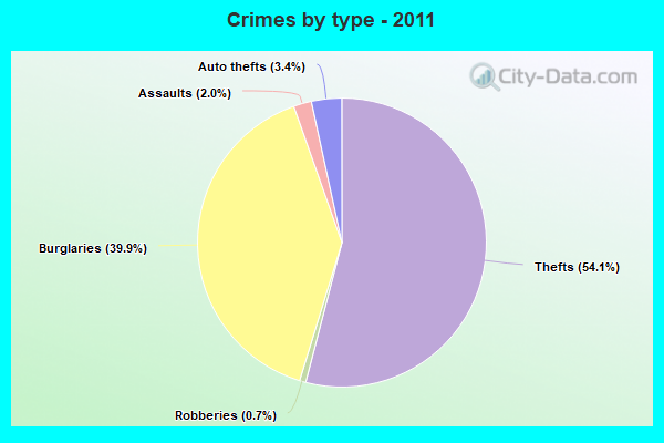 Crimes by type - 2011