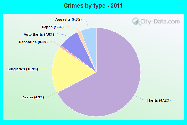 Crimes by type - 2011