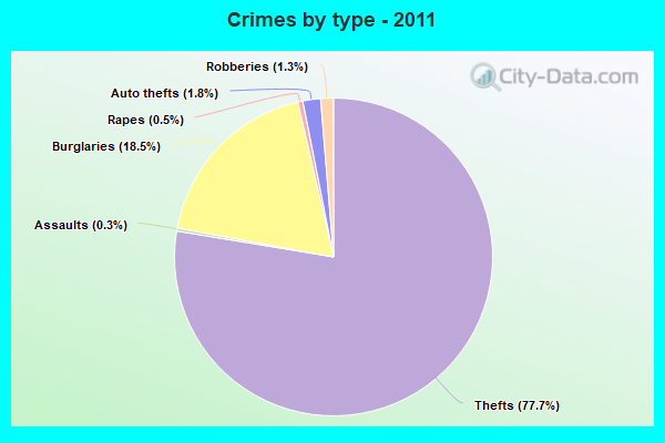 Crimes by type - 2011