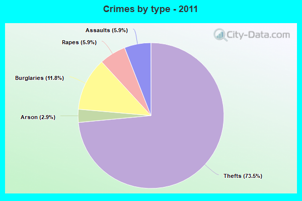 Crimes by type - 2011