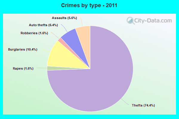 Crimes by type - 2011