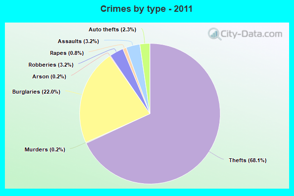 Crimes by type - 2011