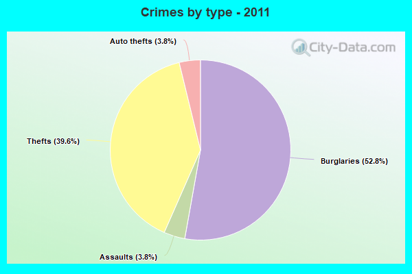 Crimes by type - 2011