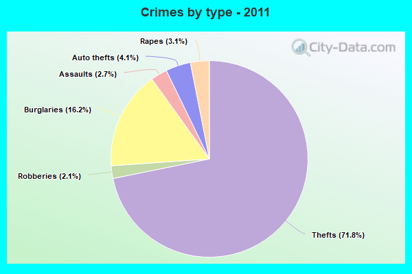 Crimes by type - 2011