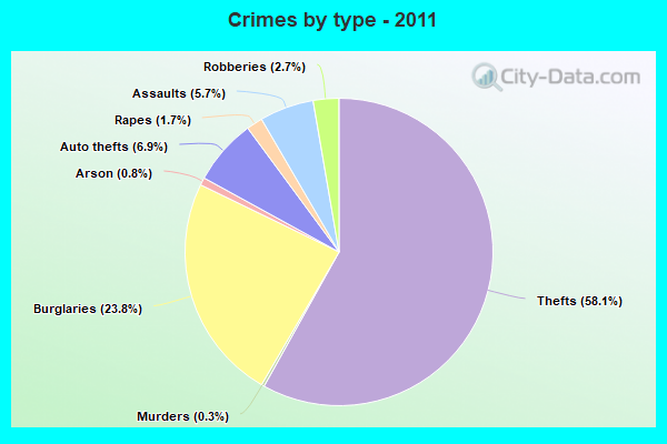 Crimes by type - 2011