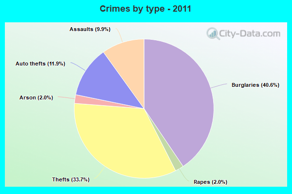 Crimes by type - 2011