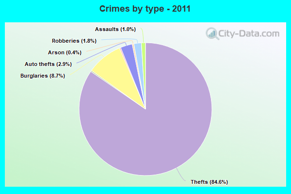 Crimes by type - 2011