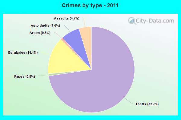 Crimes by type - 2011