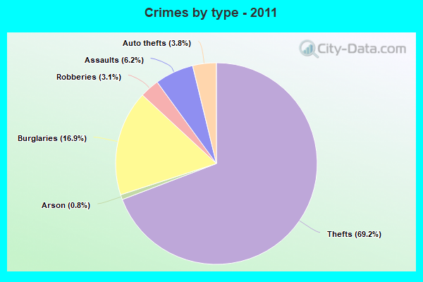 Crimes by type - 2011