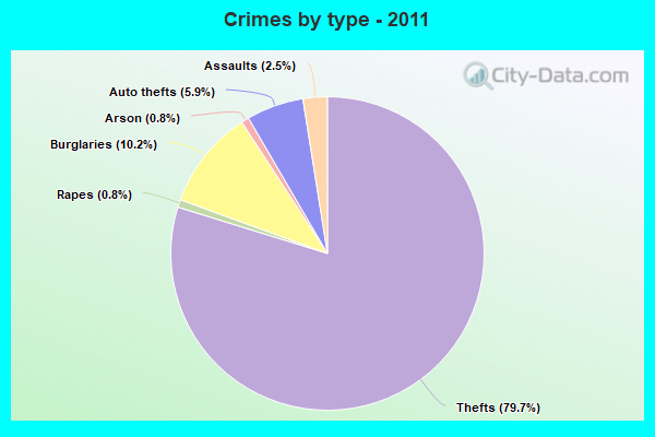 Crimes by type - 2011