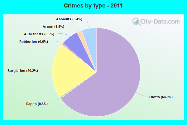 Crimes by type - 2011