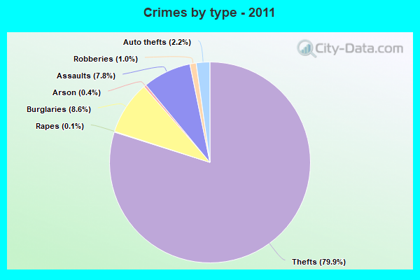 Crimes by type - 2011