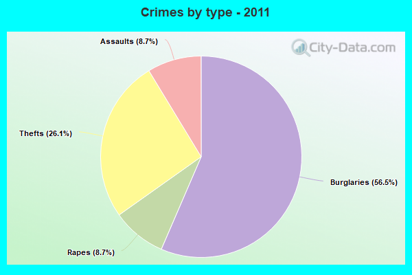 Crimes by type - 2011