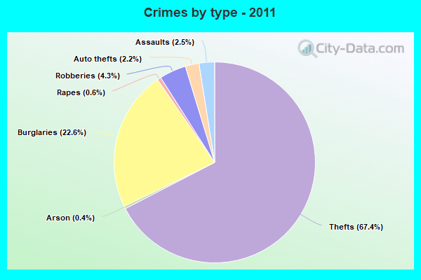 Crimes by type - 2011