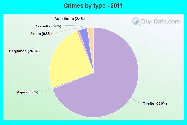 Crimes by type - 2011