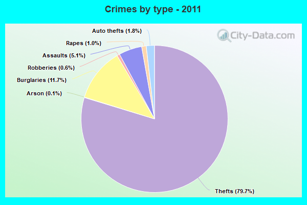 Crimes by type - 2011