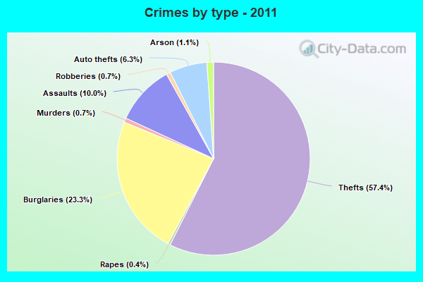 Crimes by type - 2011