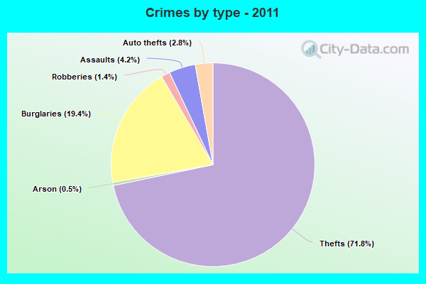 Crimes by type - 2011