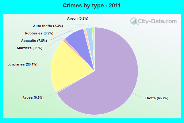 Crimes by type - 2011