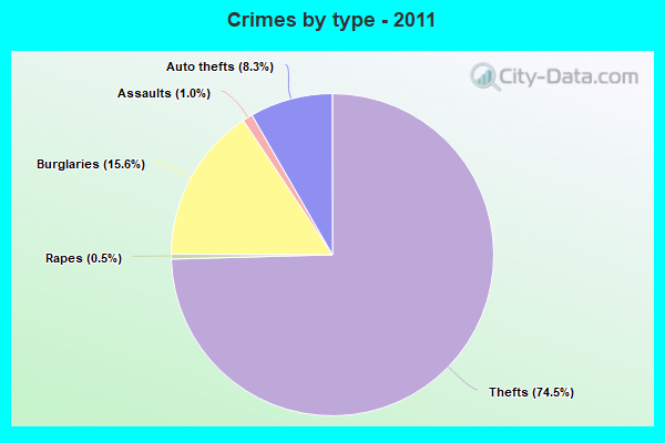 Crimes by type - 2011