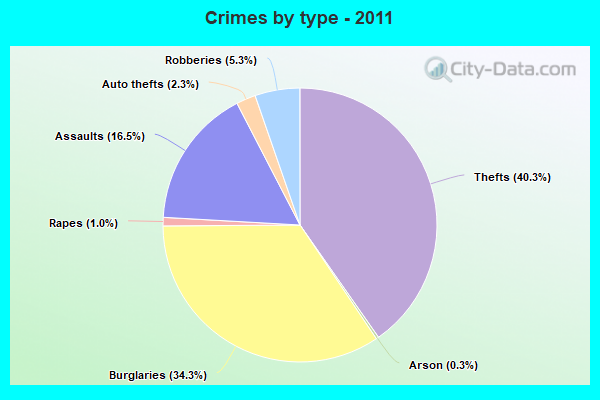 Crimes by type - 2011