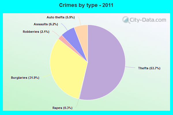 Crimes by type - 2011