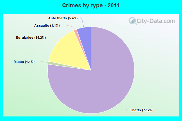 Crimes by type - 2011