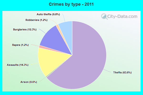 Crimes by type - 2011