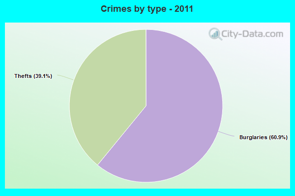 Crimes by type - 2011