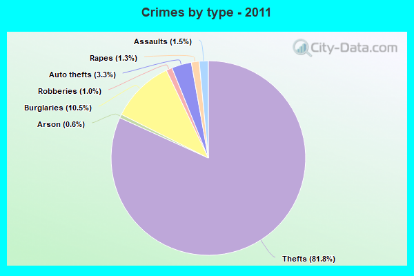 Crimes by type - 2011